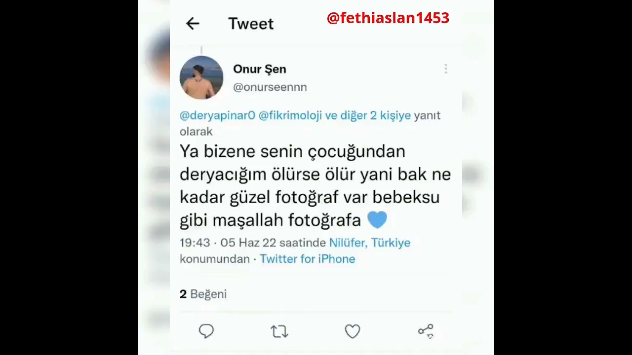 Sözde 'hayvanseverler' bakın insanlar için ne diyor..