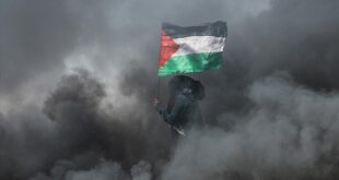 thumbs b c 8dbfea807c3eb968b3f9ca5207ea22e7