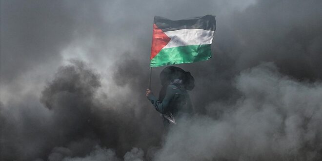 thumbs b c 8dbfea807c3eb968b3f9ca5207ea22e7