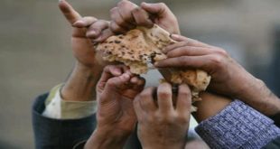 Birleşmiş Milletler: 820 Milyon İnsan Aç!