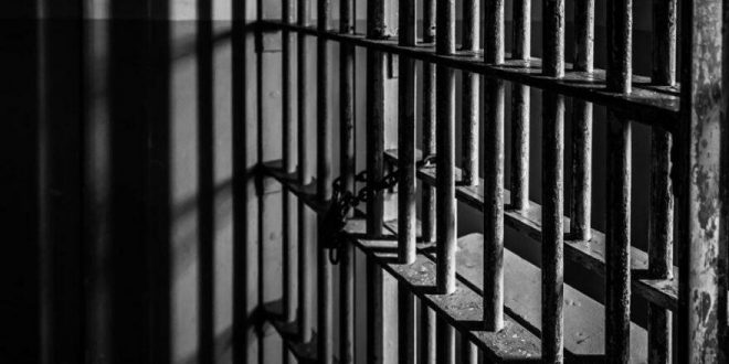 Af Yasası Kabul Edildi