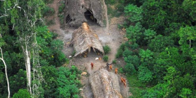 Amazon Ormanlarında yaşayan kabilelerde koronavirüs rastlandı