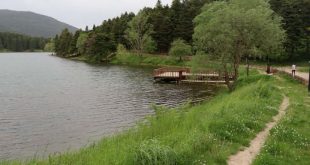 Milli ve Tabiat Parkları 1 Haziran'da Yeniden Açılıyor