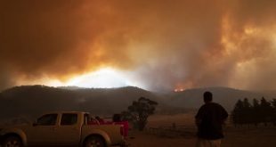 Avustralya'daki 'yangın dumanları' nedeniyle 445 kişi öldü