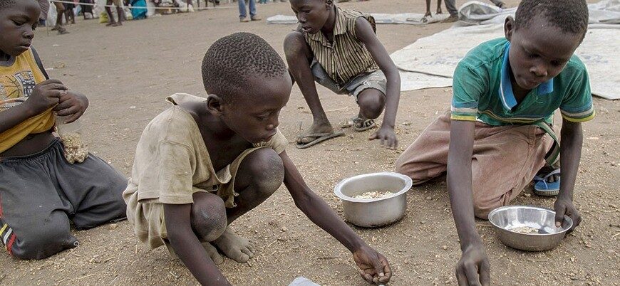 Afrika’da çekirge istilası nedeniyle açlık krizi kapıda