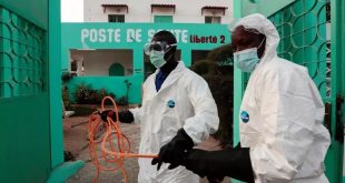 DSÖ uyardı: Koronavirüs Afrika'da hızla yayılıyor