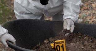 Meksika'da 9 yeni toplu mezar bulundu