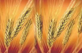 Bire Yediyüz Kazanç: İNFAK - Abdullah DÂİ