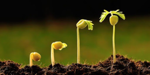 GÜZEL AHLAK TAMAMLANDI- Abdullah DÂİ