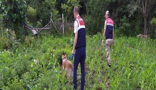 Samsun’da uyuşturucu operasyonu!