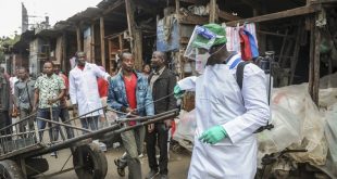 Afrika'da vaka sayısı 500 bine yaklaştı