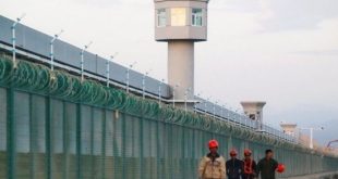 Çin hükümetine 'siyasi yeniden eğitim kampları' kapatılmalı çağrısı