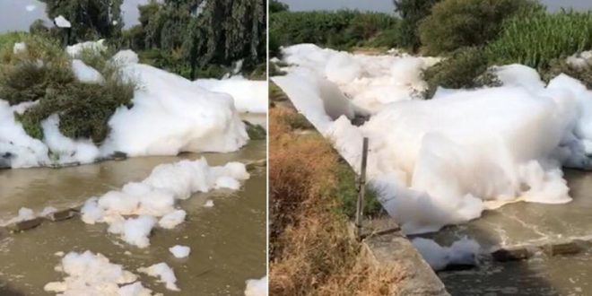 Mersin’in Tarsus ilçesindeki Kusun Deresi köpürdü!