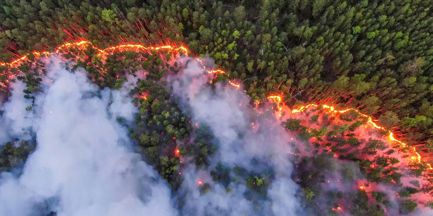 Sibirya Ormanları’nda eşi görülmemiş yangın