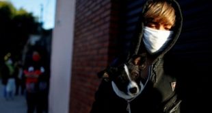 Arjantin'de bir günde 235 ölüm