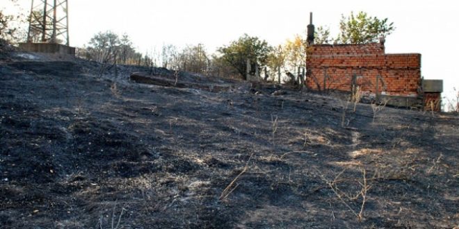 Bulgaristan-Türkiye sınırındaki yangın söndürüldü