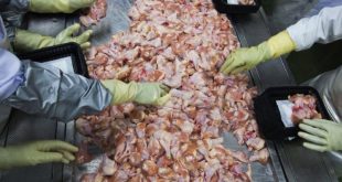 Çin, Brezilya'dan gönderilen tavuk kanatlarında koronavirüs tespit etti