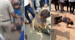 Radikal Hindu çeteler 'inek eti taşıdığı' iddiasıyla Müslüman genci linç etti