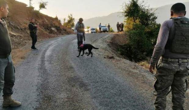 Köy yoluna tuzaklanan EYP imha edildi