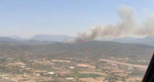 Muğla'da çıkan orman yangınına müdahale ediliyor