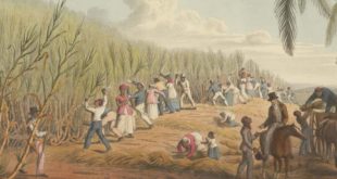 En tatlı ürünün tarihi: Şekerin arkasındaki trajik hikaye