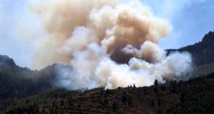 Adana'daki orman yangınına müdahele  yeniden başladı