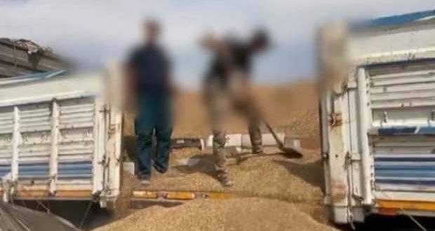 Şanlıurfa'da 37 bin 500 paket kaçak sigara ele geçirildi