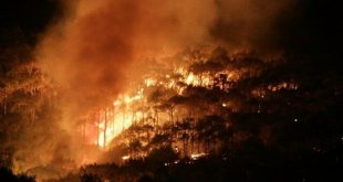 Balıkesirde orman yangını kısa sürede kontrol altına alındı