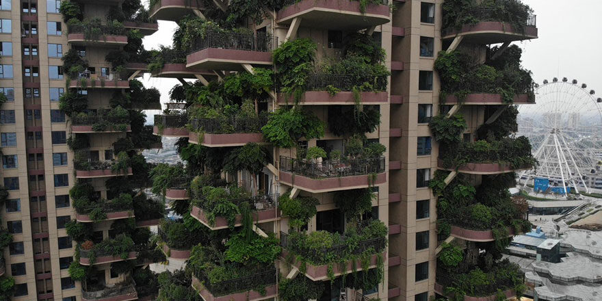 Çin’de orman apartmanlar felakete dönüştü!