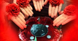 'Korona kınası' Diyarbakır'da