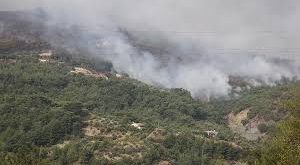 Hatay'ın Samandağ ilçesinde orman yangını!