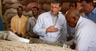 İstanbul sözleşmesi nesli, Gıda yasası sağlığımızı bitirecek!