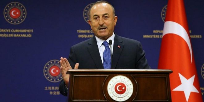 Dışişleri Bakan Çavuşoğlu Covid-19 aşısı geliştiren Türk bilim insanlarıyla görüştü