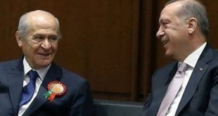 Erdoğan, Bahçeli ile birlikte piknik yapacağını duyurdu!