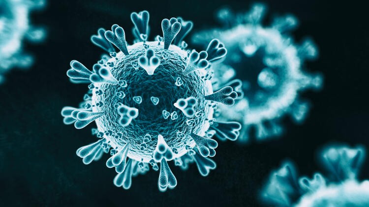 rusya koronavirusun yeni bir mutasyonuyla karsi karsiyayiz 01
