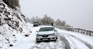 Tunceli'ye yılın ilk karı düştü: 31 köy yolu ulaşıma kapandı