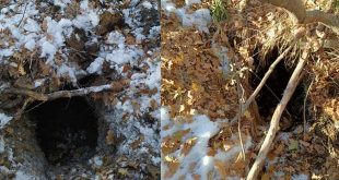 PKK'ya ait 14 sığınak imha edildi!