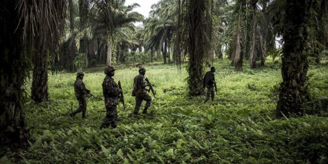 'Kongo'da öldürülen IŞİD mensupları arasında yabancı savaşçılar var' iddiası