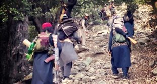 TTP'den Güney Veziristan'da Pakistan ordusuna saldırı