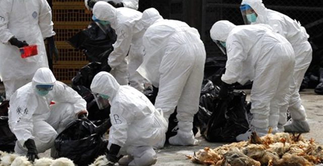 Irak hükümeti vatandaşın canını hiçe sayıyor