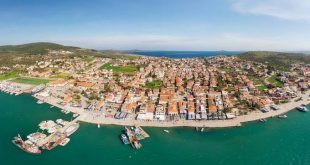 Mutasyonlu virüs Türkiye'ye sıçradı; İşte virüsün görüldüğü iller!