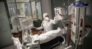 1 Şubat Türkiye koronavirüs tablosu