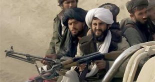 Taliban'dan Afgan ordusu milislerine pusu