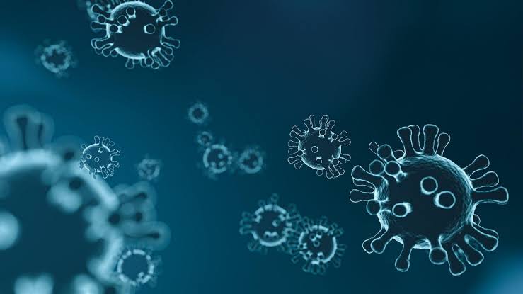 22 mayis turkiye koronavirus tablosu 01