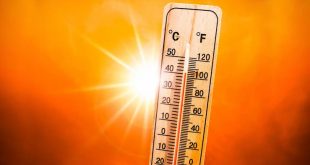ABD'de aşırı sıcaklar ölümlere neden oluyor!
