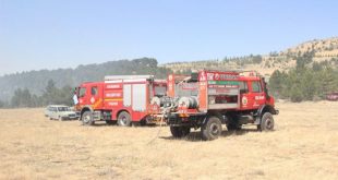 Emniyet ve Jandarma yangınla mücadele için özel ekipler kurdu