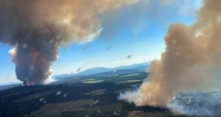 Kanada'da aşırı sıcaklar can almaya devam ediyor!