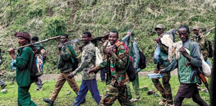 tigray gucleri bin etiyopya askerini serbest biraktik 01