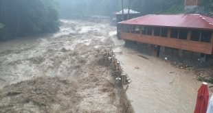 Can kaybı 44'e yükseldi, arama çalışmaları sürüyor