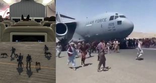 İşbirlikçilerini Afganistan'da bırakan ABD ordusu, köpeklerini ise tahliye etti